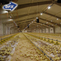Best Price Automatic Poultry Farm Design For Layers